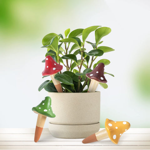 HOMYHEE stand-up water capacity supports longer watering intervals.