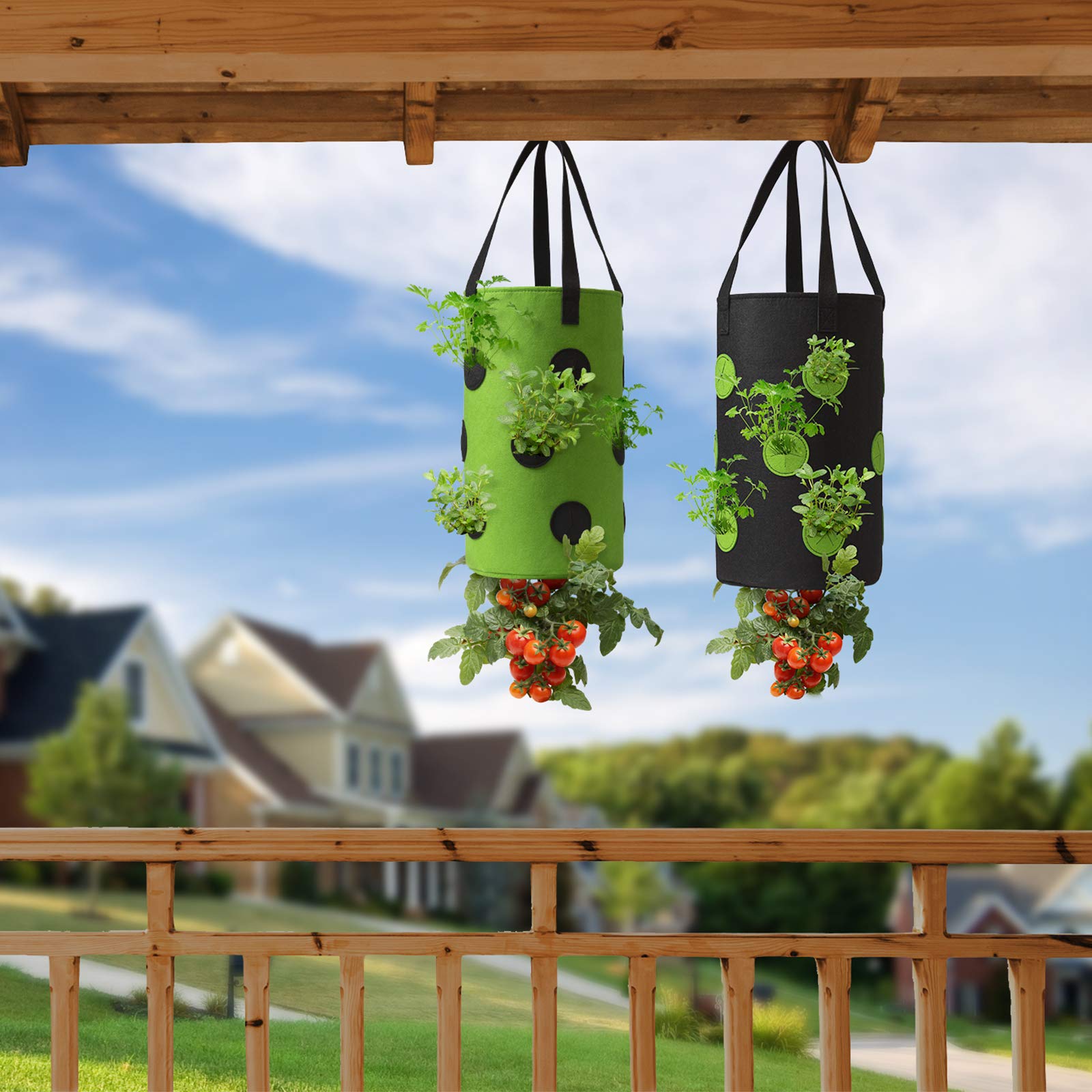 Homyhoo upside-down design improves water and nutrient delivery to roots.