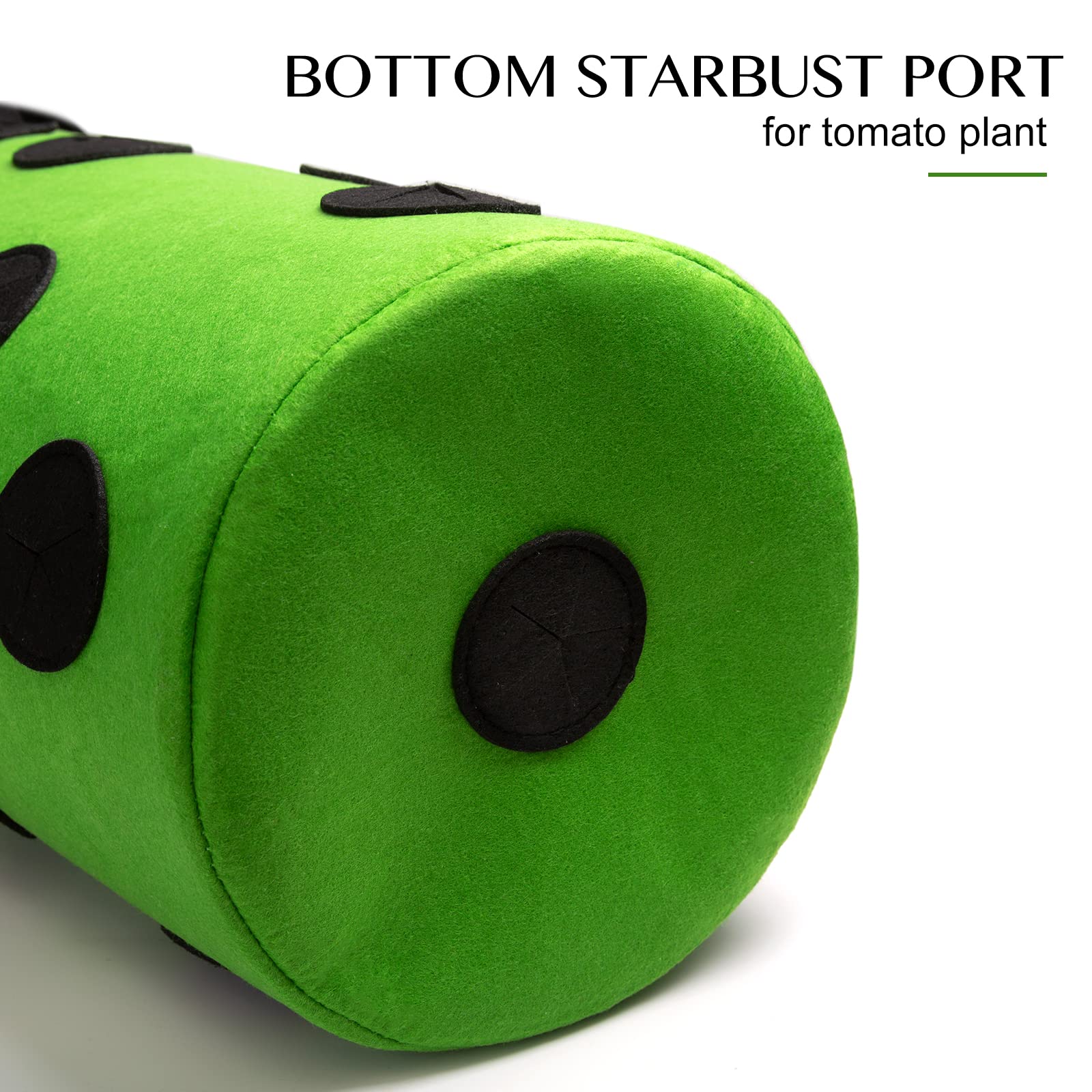 Heavy-duty nonwoven fabric keeps plants warmer in winter and cooler in summer.
