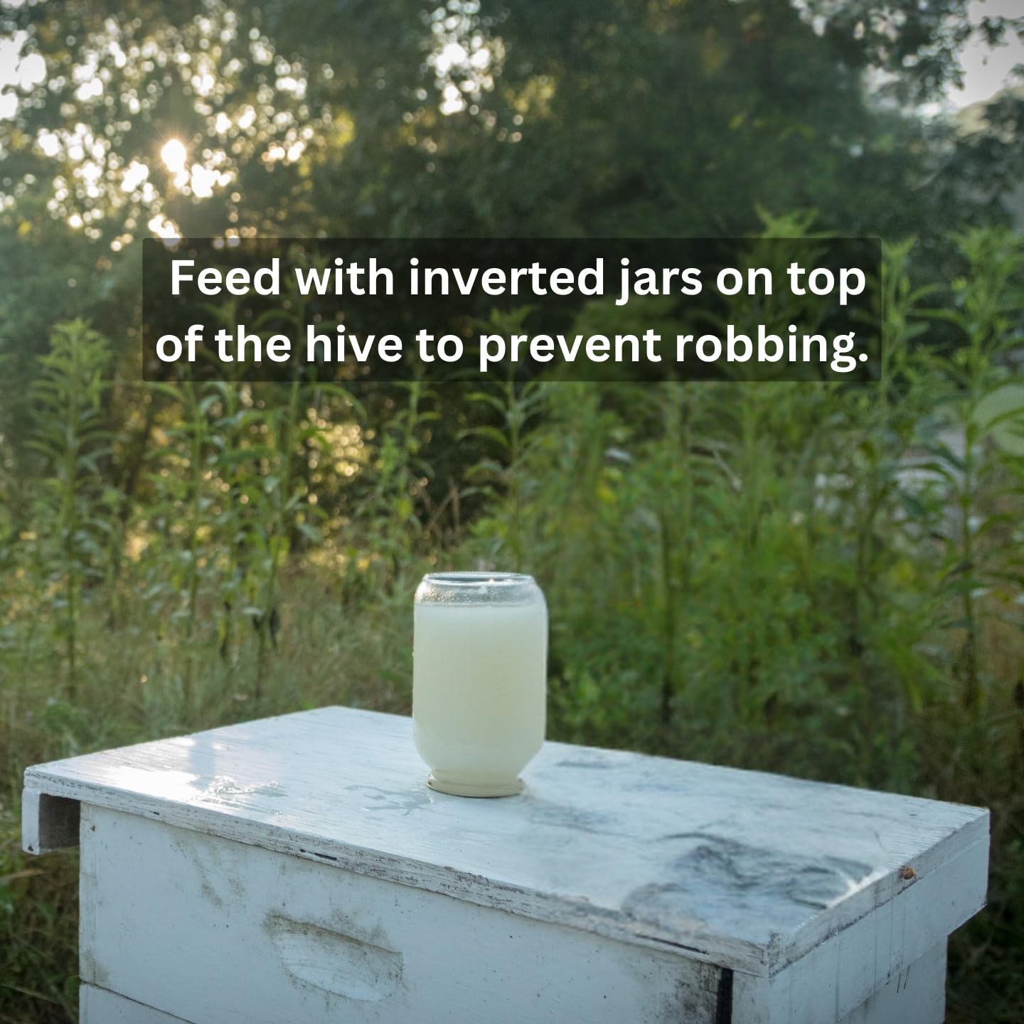 Honey B Healthy spray application on bees to calm colonies.