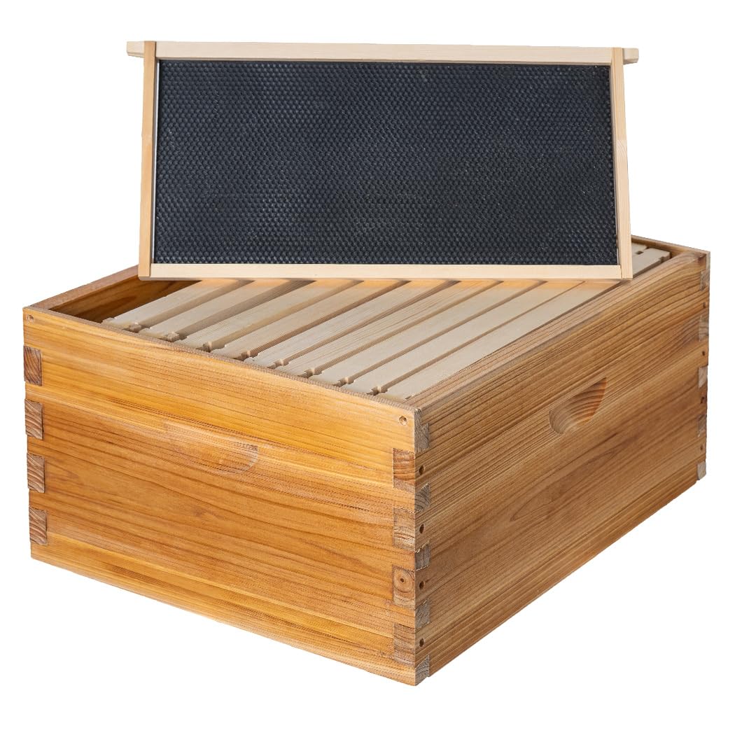 Honey Lake 10-frame deep brood box with beeswax dip for durability