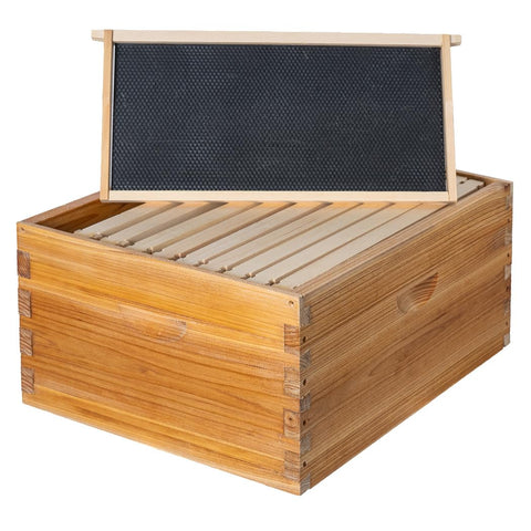 Honey Lake 10-frame deep brood box with beeswax dip for durability