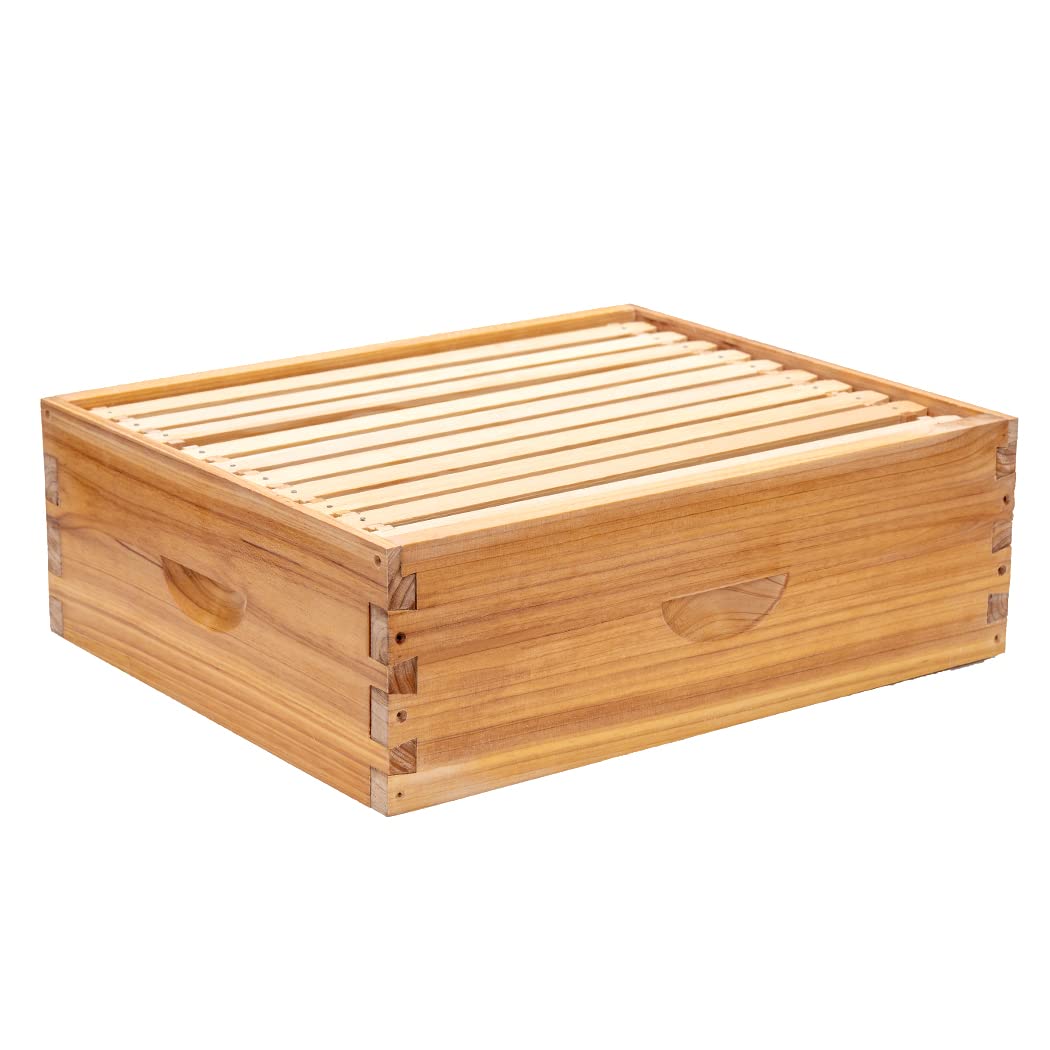 Honey Lake 10 Frame Medium Super Bee Hive Box in cedar for durable beekeeping