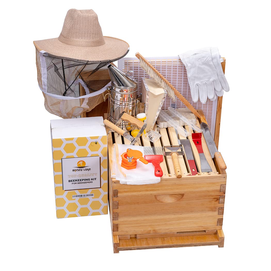 Honey Lake beehive kit assembled box shows sturdy cedar construction for durable housing.