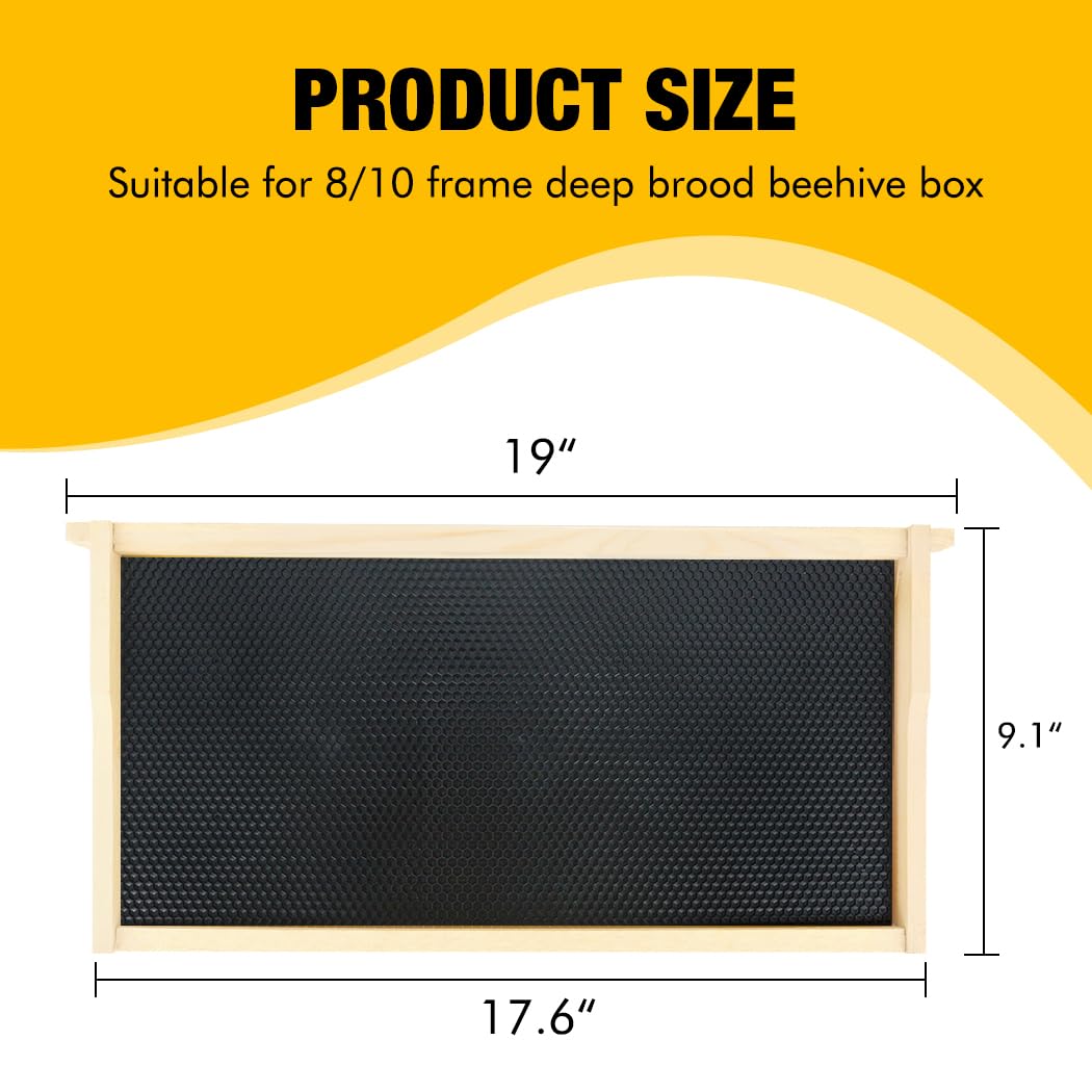 Honey Lake beeswax-coated foundation sheets improve acceptance by bees