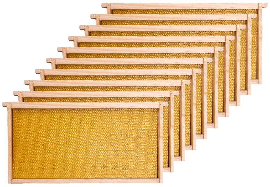Honey Lake deep beehive frames showing sturdy pine wood construction for durability
