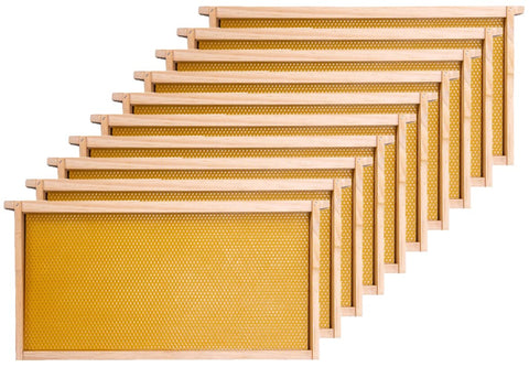 Honey Lake deep beehive frames showing sturdy pine wood construction for durability