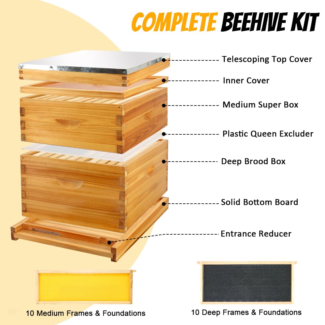 Honey Lake deep brood box interior highlights roomy space for brood development