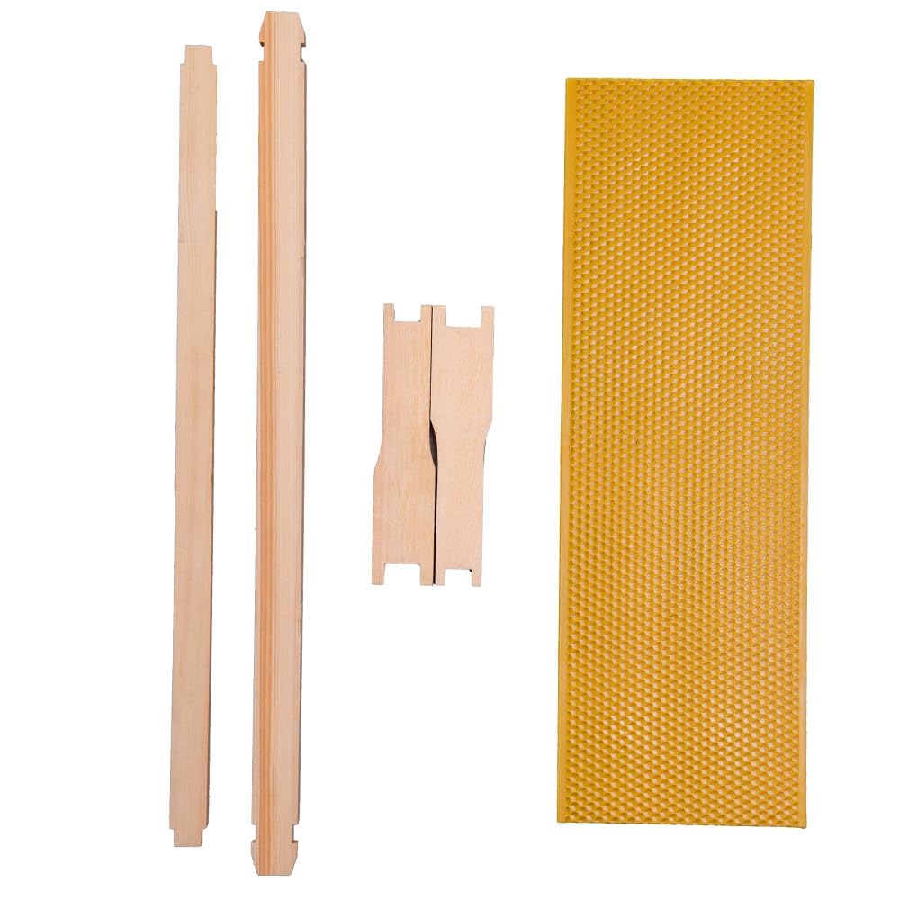 Honey Lake medium super hive dimensions 19.88 by 16.25 by 6.6 inches