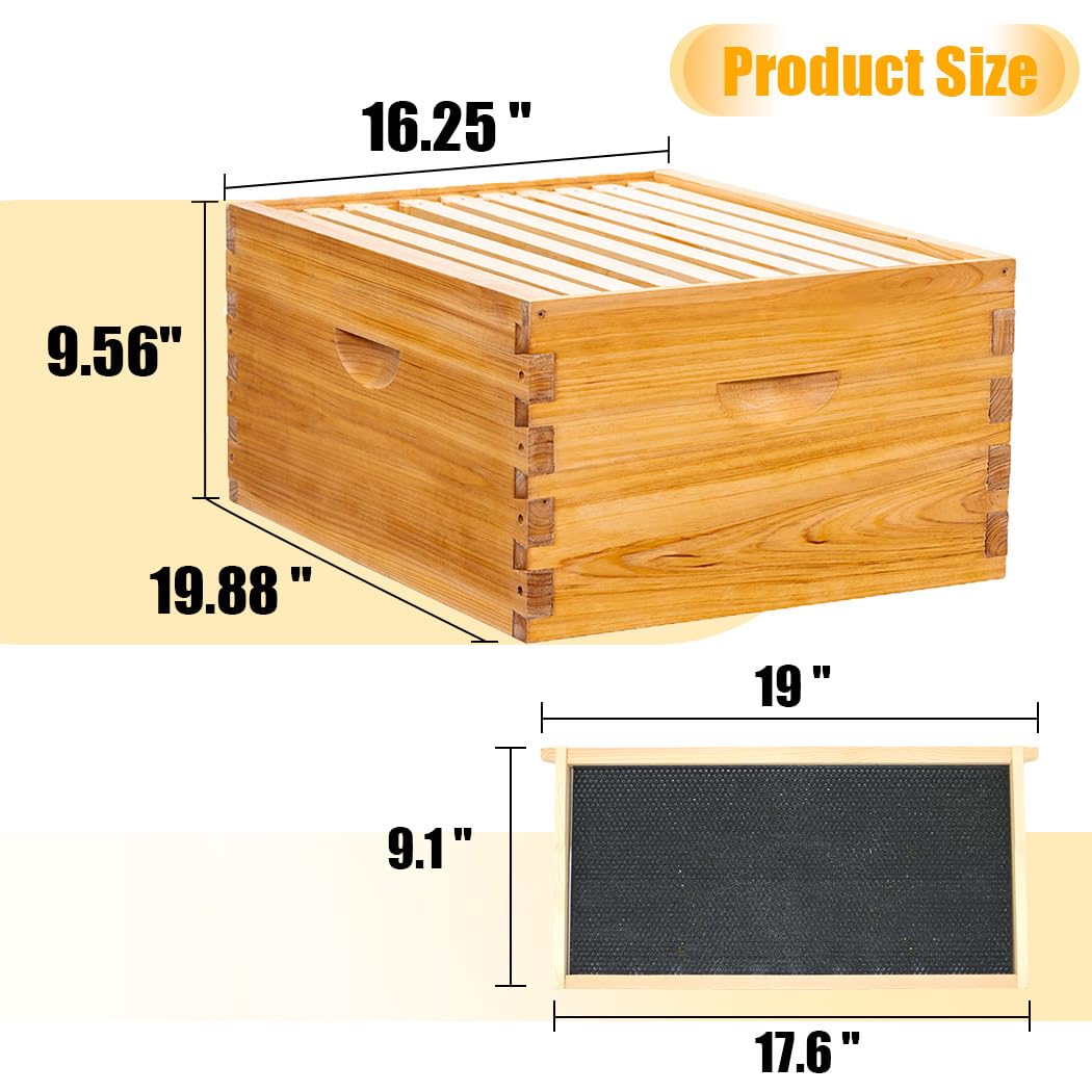 Honey Lake frames and foundations enable straightforward hive setup and brood rearing.