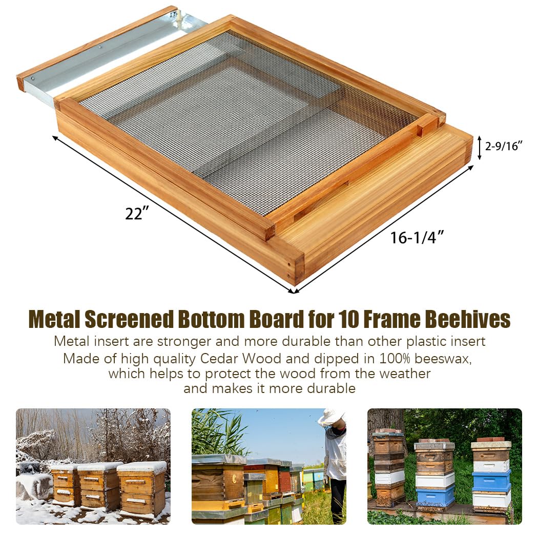 Honey Lake bottom board with metal inserts for added durability