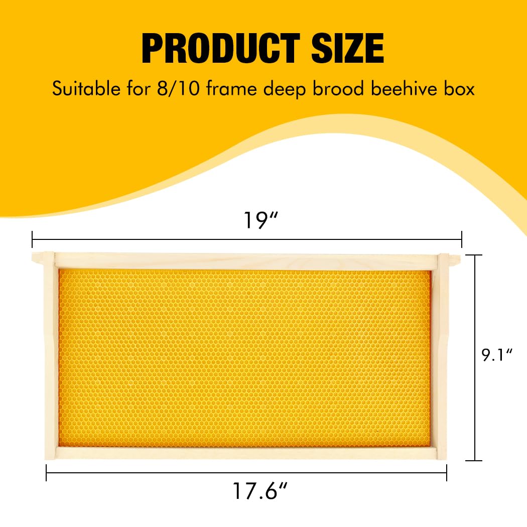 Honey Lake pine wood frames designed for long-lasting beekeeping use