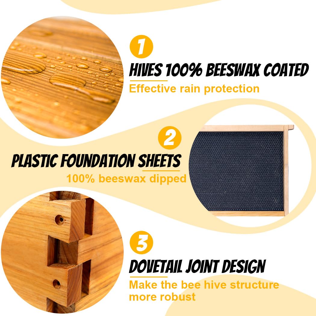 Honey Lake plastic foundation sheets with beeswax coating for starting colony