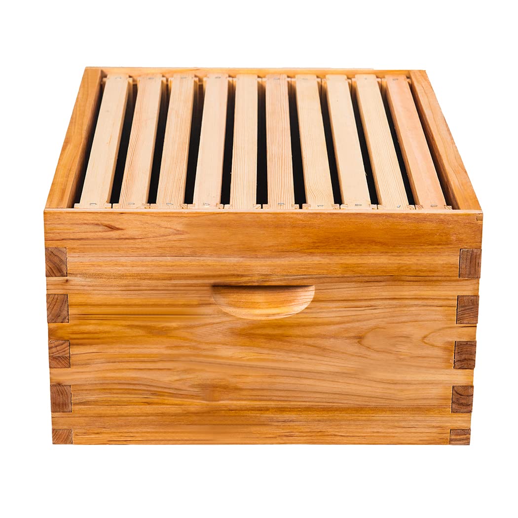 Honey Lake box ready for assembly in a clean apiary setup