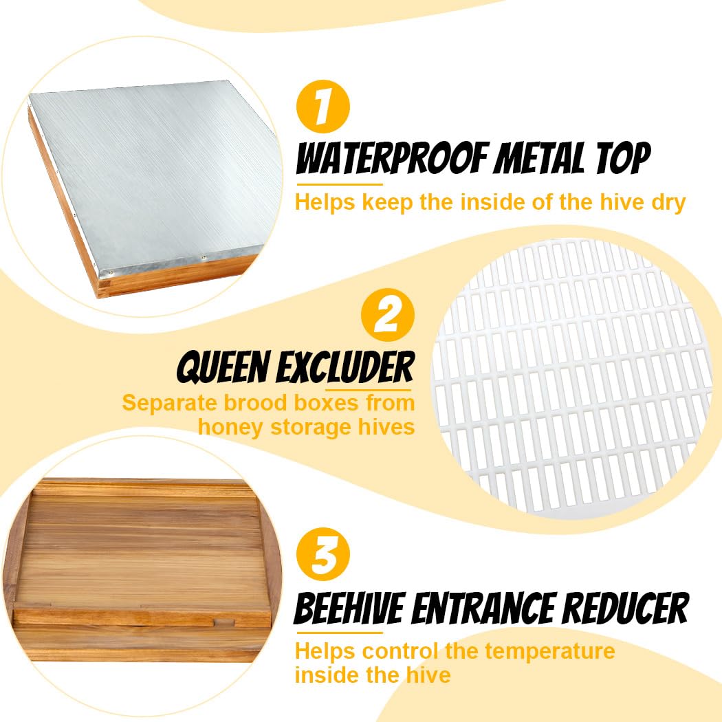Honey Lake stainless steel tools stay durable during regular hive maintenance tasks.