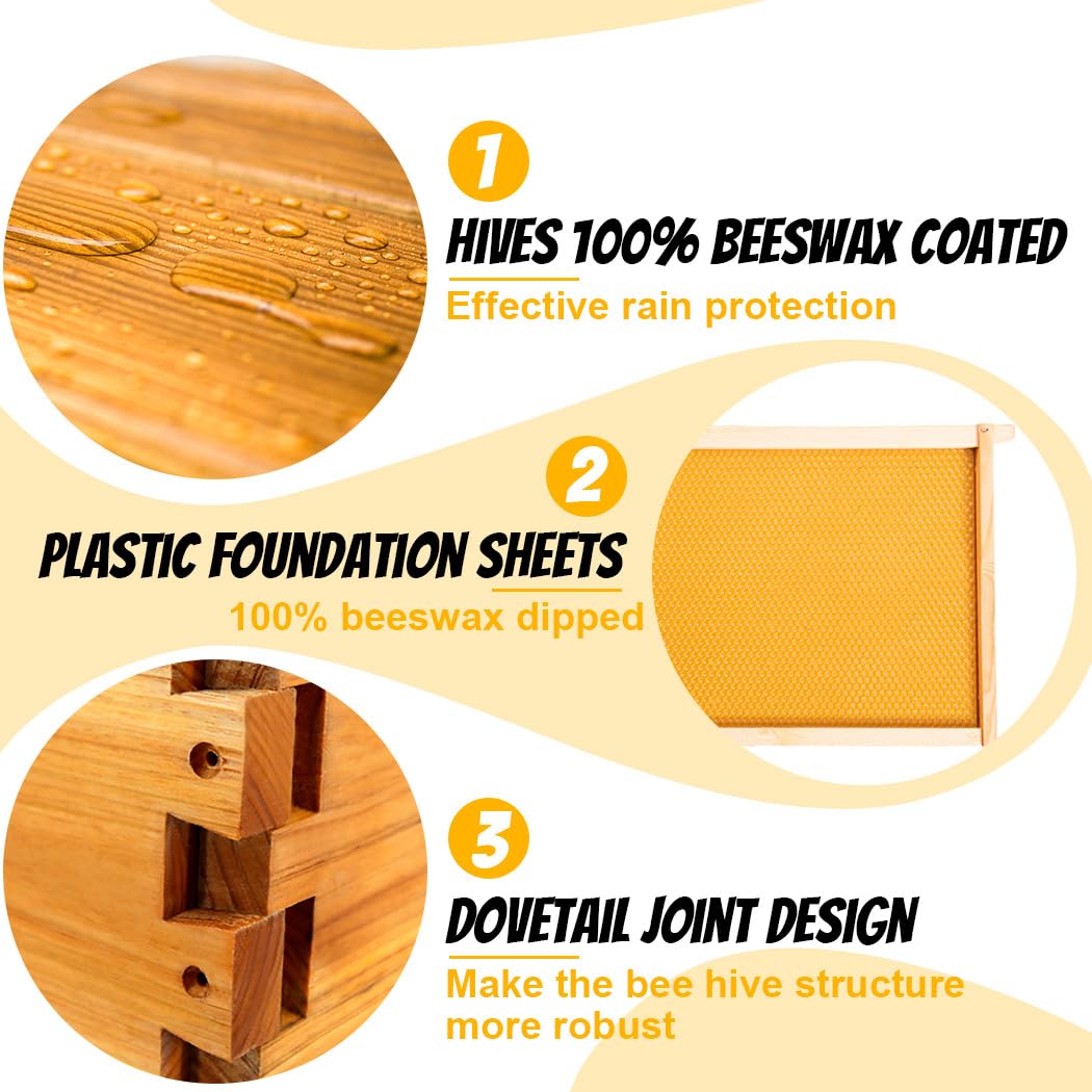 Honey Lake wax-coated foundations support accurate frame alignment during setup