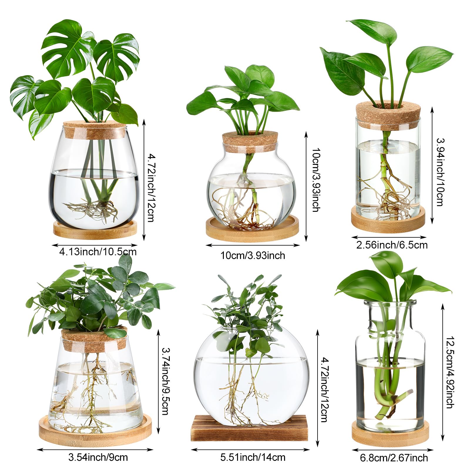 Honeydak clear borosilicate propagation vase highlighting root visibility