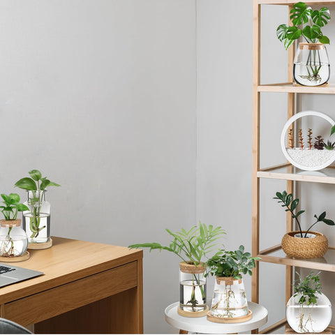 Honeydak desktop greenery display jar used as stylish home office decor