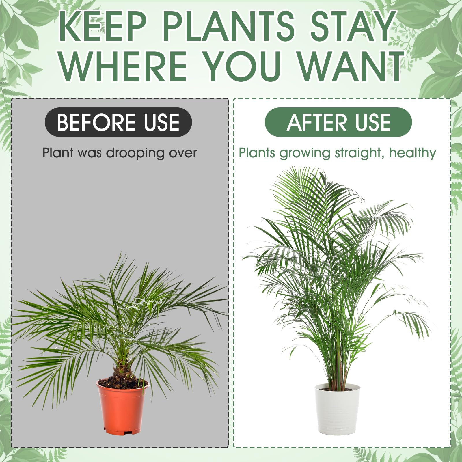 Honeydak indoor outdoor setup keeps potted plants tidy and upright