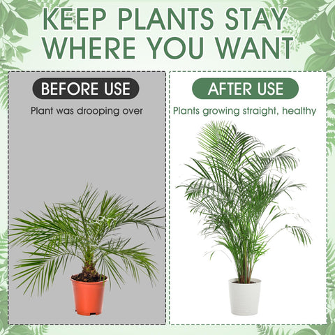Honeydak indoor outdoor setup keeps potted plants tidy and upright