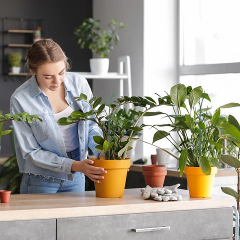 Honeydak swig-shaped stakes provide aesthetic support for greenery