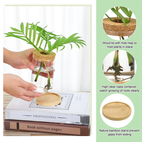 Honeydak wooden-lid propagation containers resting on a natural wood surface