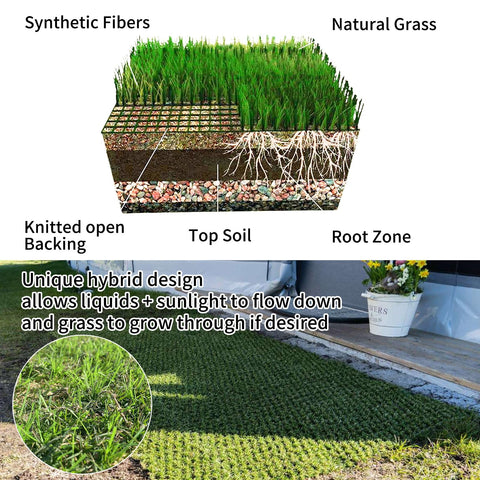 HoneyPet Hybrid Turf bare-patch solution supports steady lawn recovery.