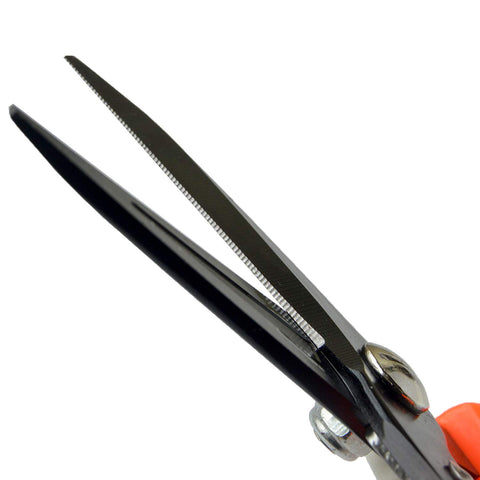 Hongmei Outdoors hoof trimmers trimming a sheep hoof for smooth cuts