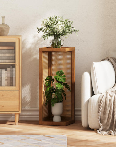 Hongsane corner plant display fits small spaces with vertical design.