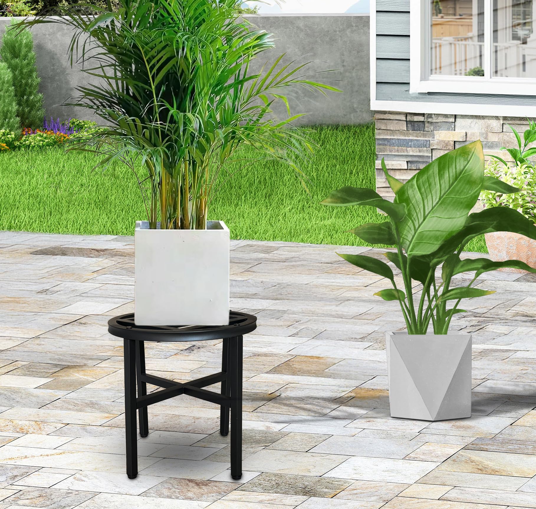 Hongsane supports large potted plants like fiddle-leaf figs safely