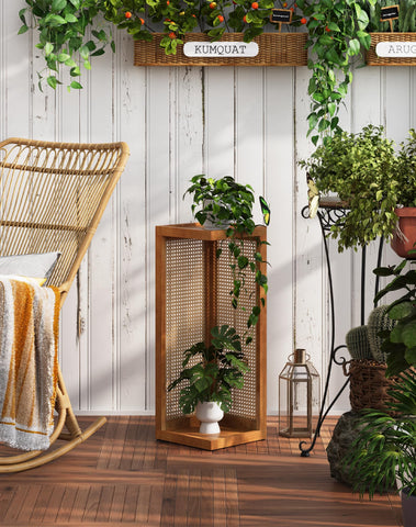 Hongsane tall 26-inch plant stand holds taller greenery.