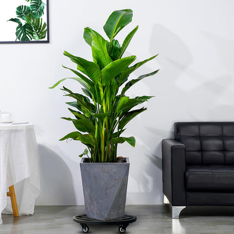 Hongsane weatherproof design stands up to outdoors for year-round use.