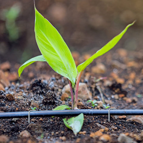 HongWay 11-gauge stake provides strong support for tents and fences