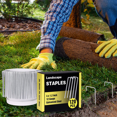 HongWay U-shaped staples with beveled tip ease soil and turf penetration.