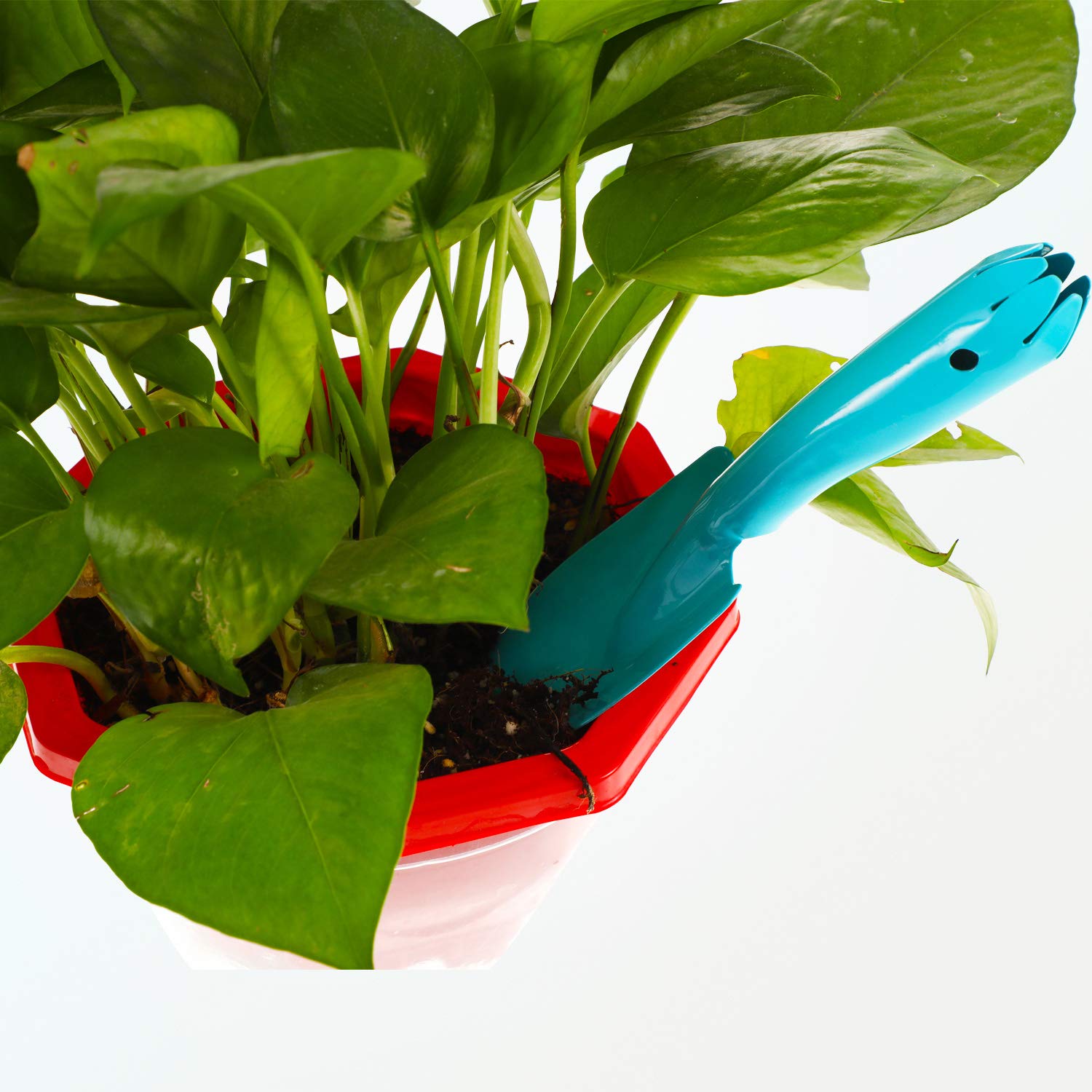 Honoson beach and garden tools in bright hues for easy identification.