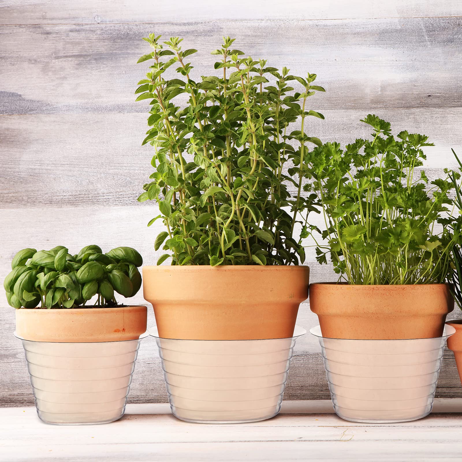 Hoolerry clear tray complements garden setup and plant displays