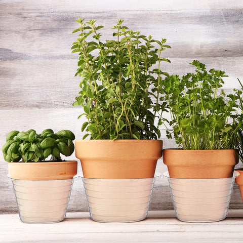 Hoolerry clear tray complements garden setup and plant displays