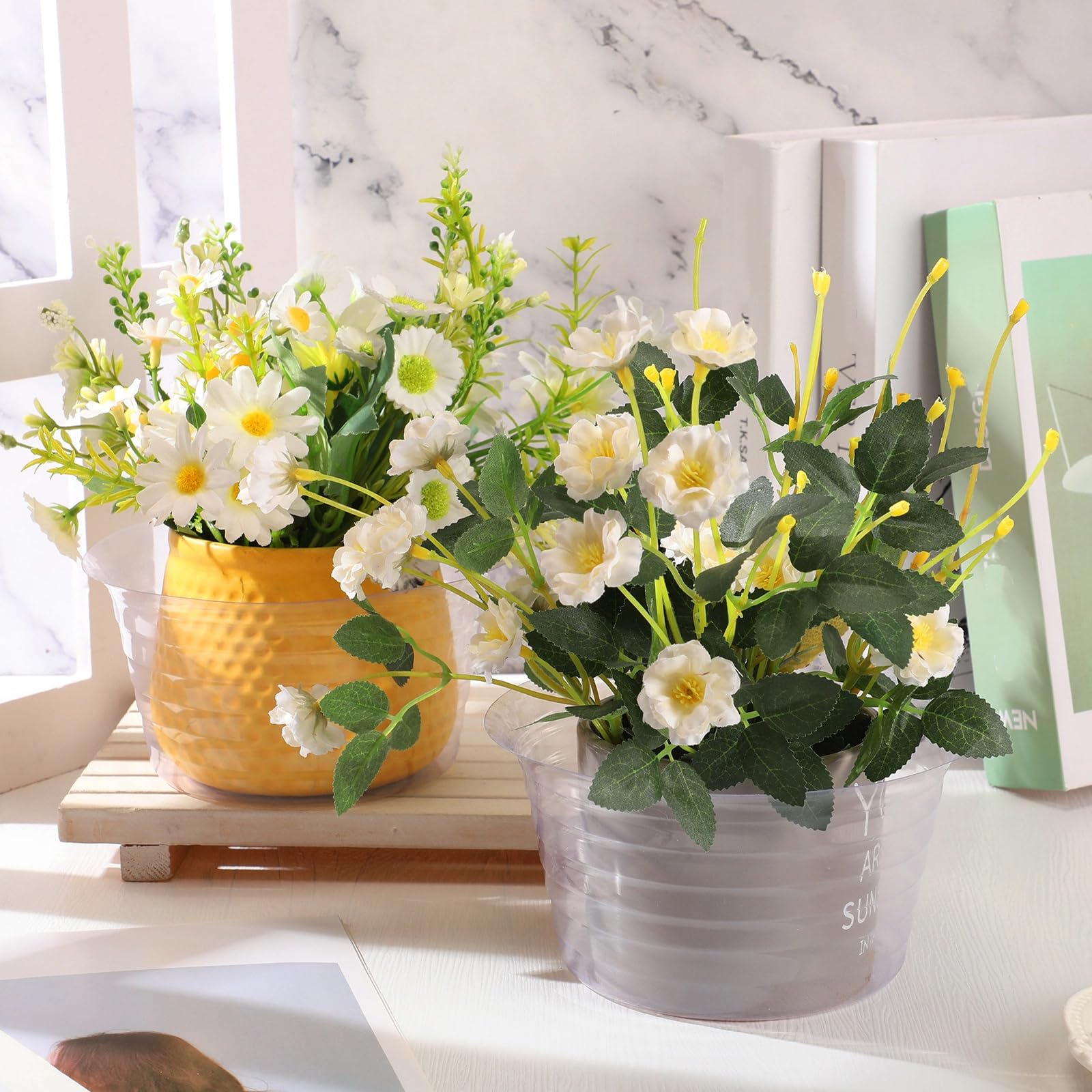 Hoolerry clear tray under pot showcases moisture levels at a glance