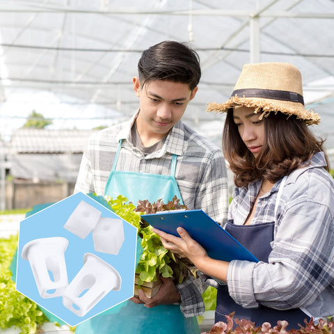 Hoolerry gift-ready hydroponics kit: ideal present for plant-loving households.