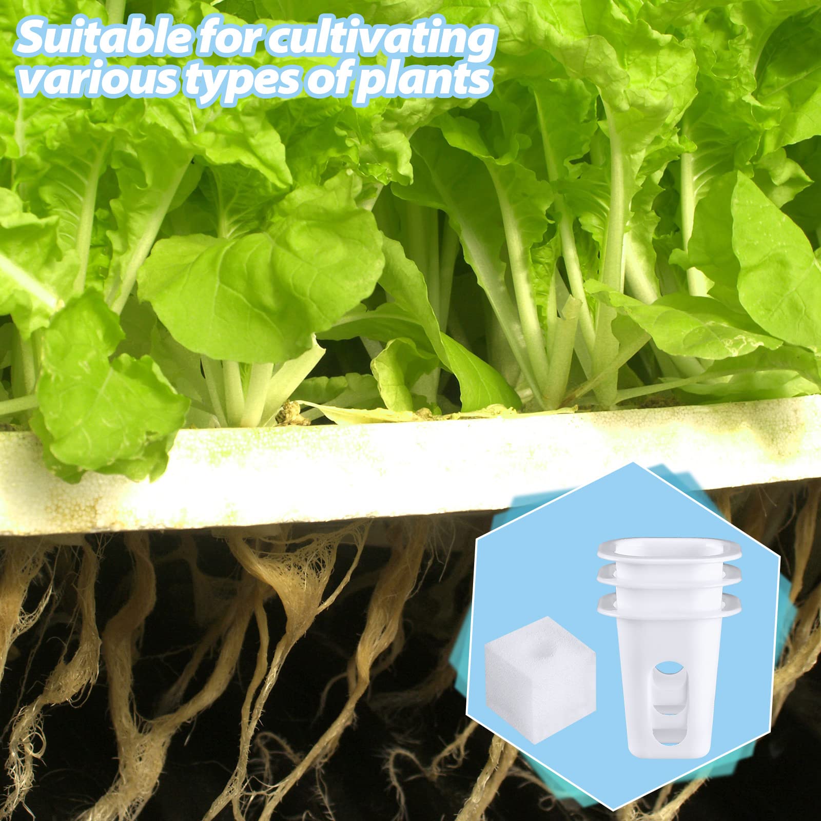 Hoolerry white plastic grow baskets: sturdy and color-retaining for long use.