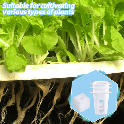 Hoolerry white plastic grow baskets: sturdy and color-retaining for long use.