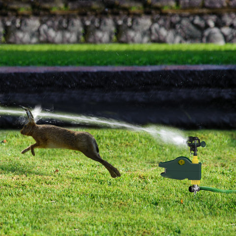 Hoont cat-repellent outdoor motion-sensor sprinkler deterring cats in yards