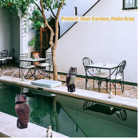 Hooyizer porch setup keeps birds away gracefully.