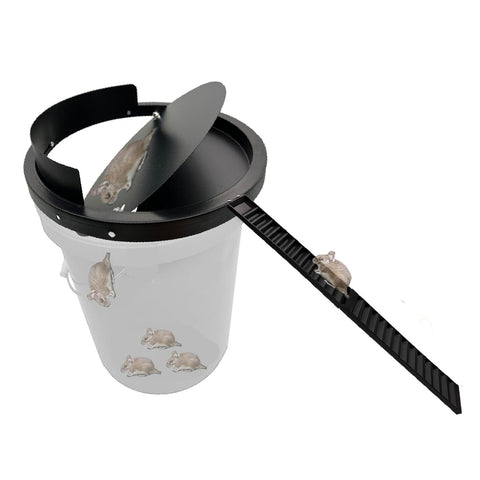 Hoqiowl bucket lid mouse trap metal design for humane capture using standard 5-gallon buckets.