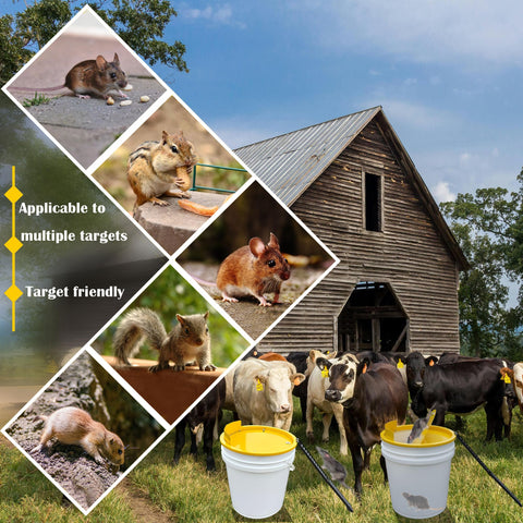 Hoqiowl easy setup for quick protection around homes and sheds.