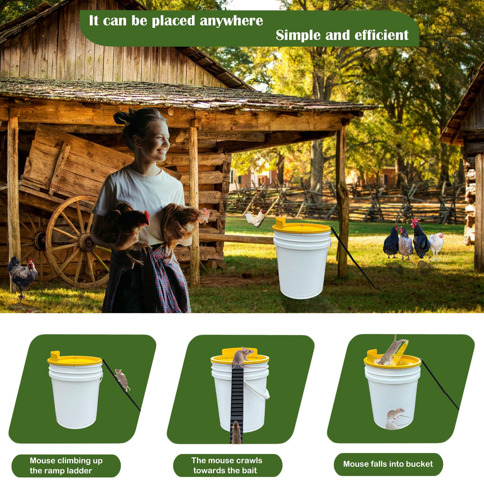 Hoqiowl indoor and outdoor use supports versatile rodent control.