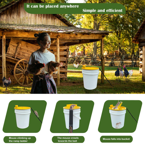 Hoqiowl indoor and outdoor use supports versatile rodent control.