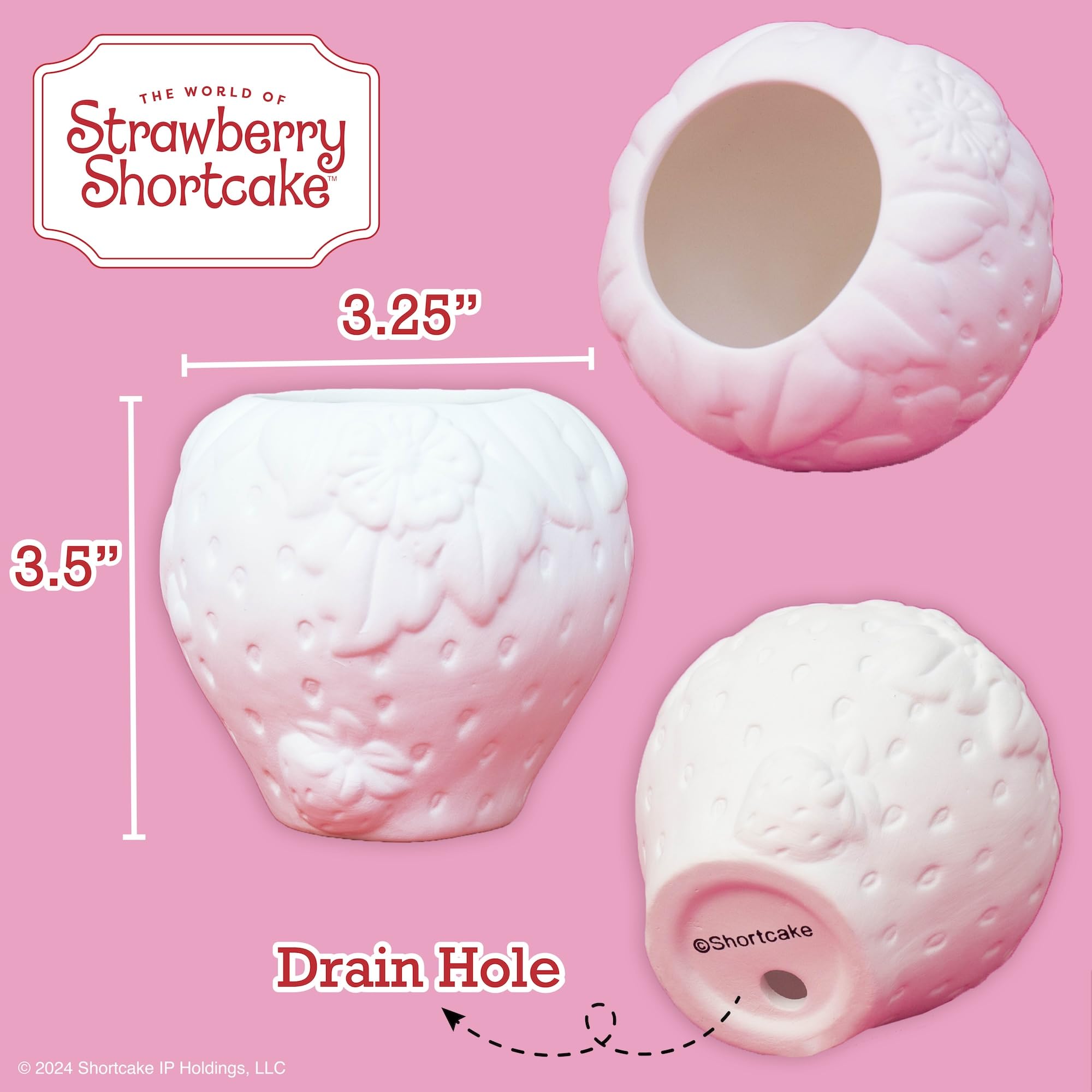 Horizon Group USA Paint Your Own Strawberry Shortcake Planter includes a paintbrush for easy decorating.