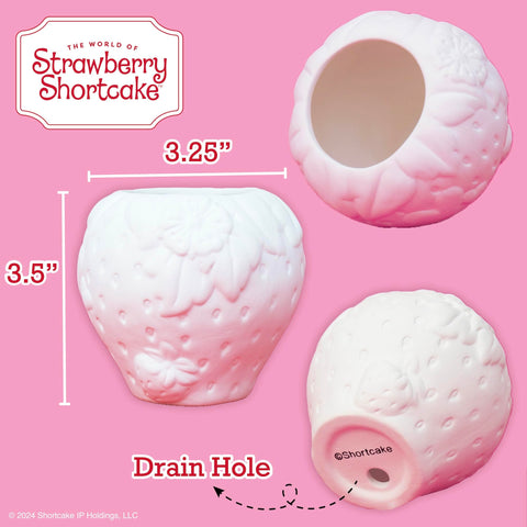 Horizon Group USA Paint Your Own Strawberry Shortcake Planter includes a paintbrush for easy decorating.