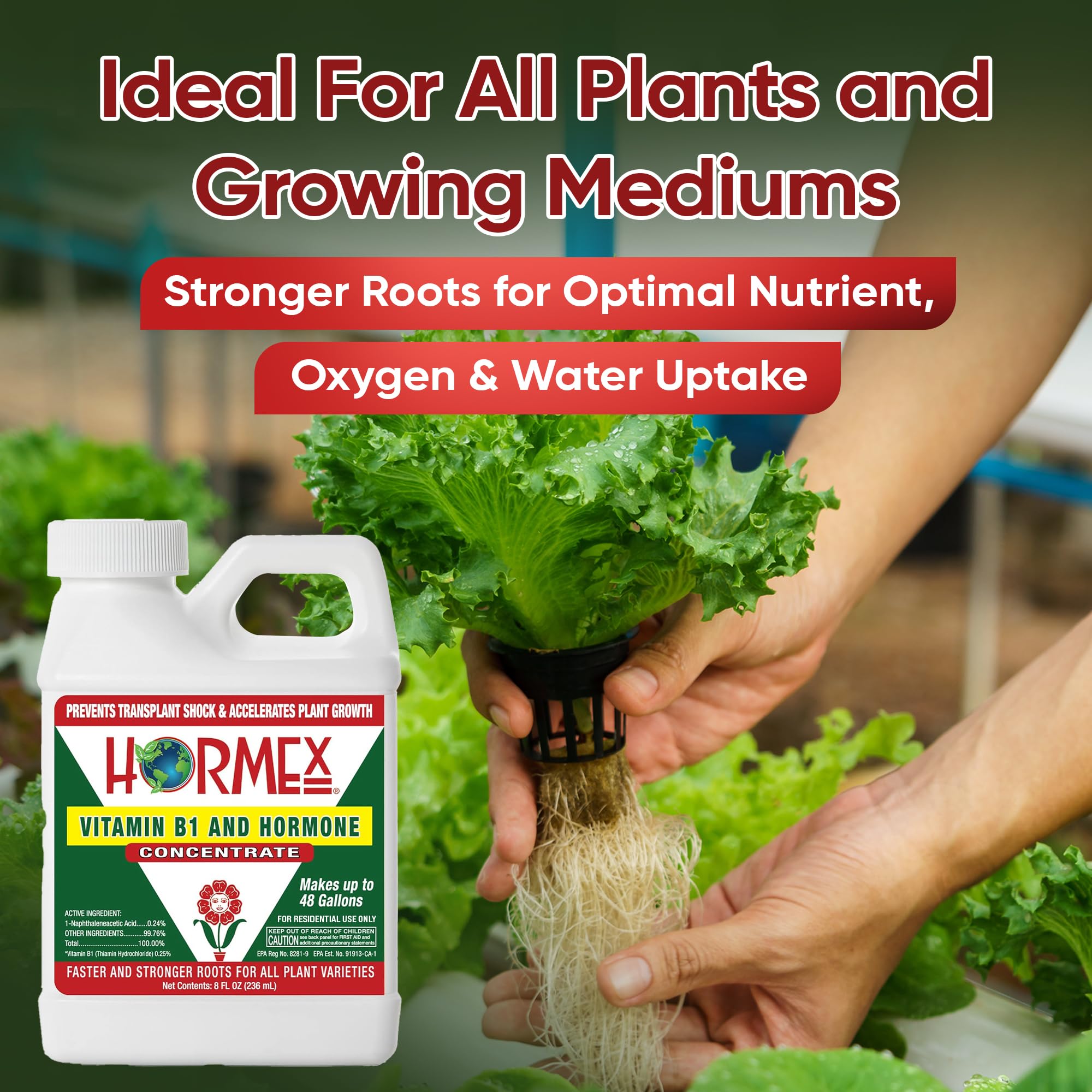 Hormex aids root establishment for fruit trees and woody plants